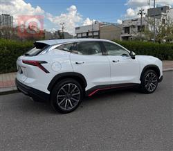 جیتۆر داشينگ